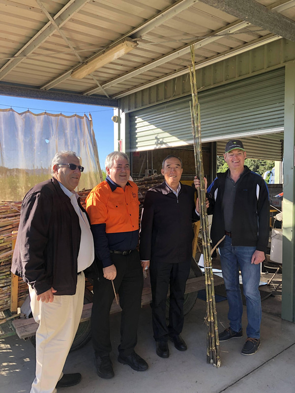 1565331972171317.jpg 20190716_IMG_8928_愛奇藝_副本.jpg