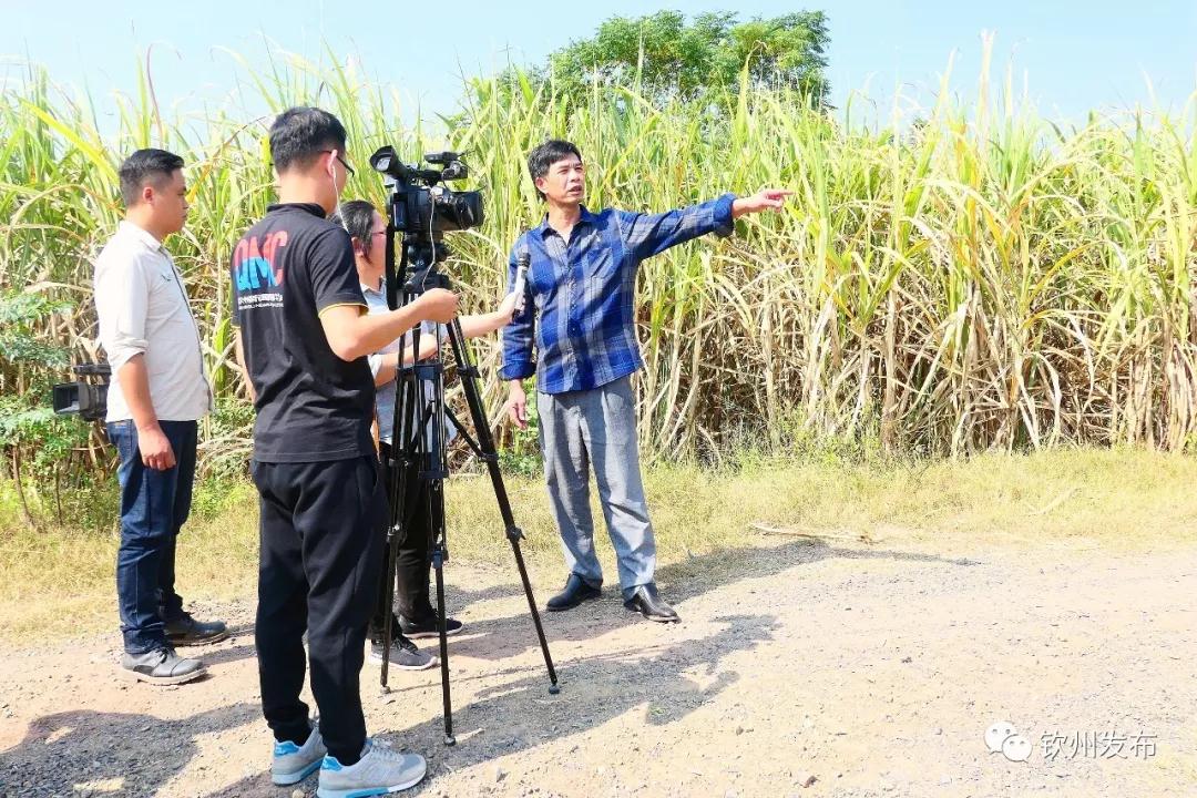 1573548054834317.jpg 微信圖片_20191112164304.jpg