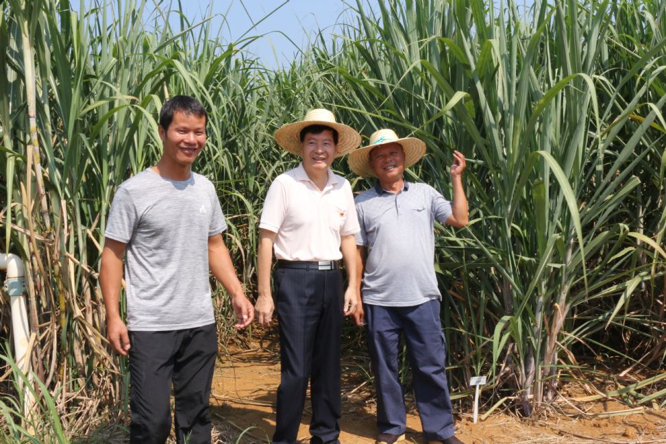 1578537456205174.jpg 20200108120290409040.jpg