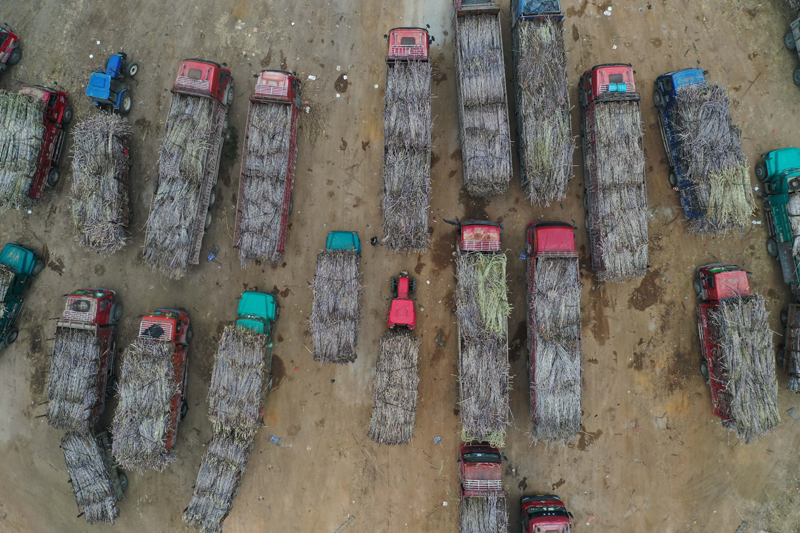 1579049334664798.jpg e323c4ca62f34d729a0e45e94c5c79bb.jpg