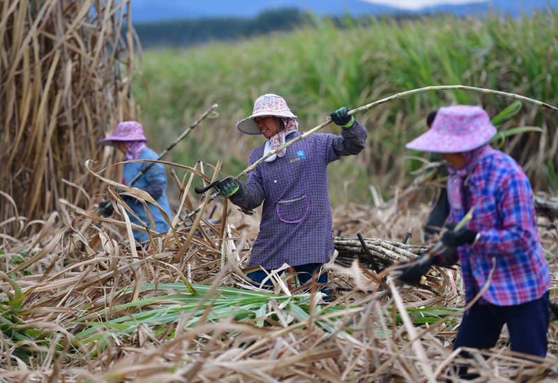 1579049377900221.jpg fe95e67cd5634e24bdf708ae1576795d.jpg