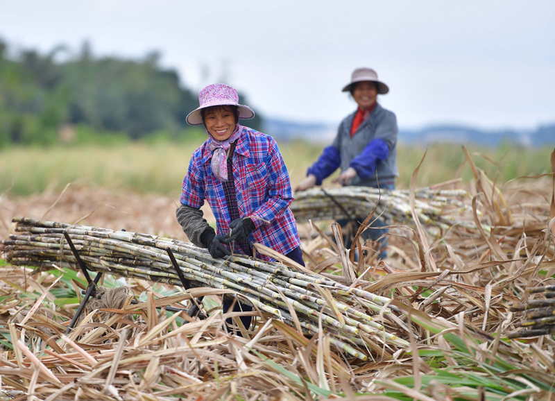 1579049410756247.jpg 5c38218260c14c95aa1811f46ad2de1a.jpg