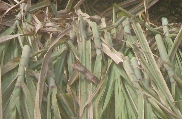 1579052388469303.jpg 微信圖片_20200115094112.jpg