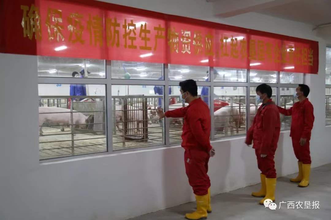 1581168274339715.jpeg WechatIMG43.jpeg