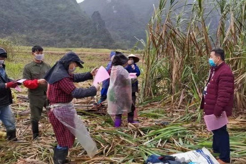 1581651265774291.png image.png