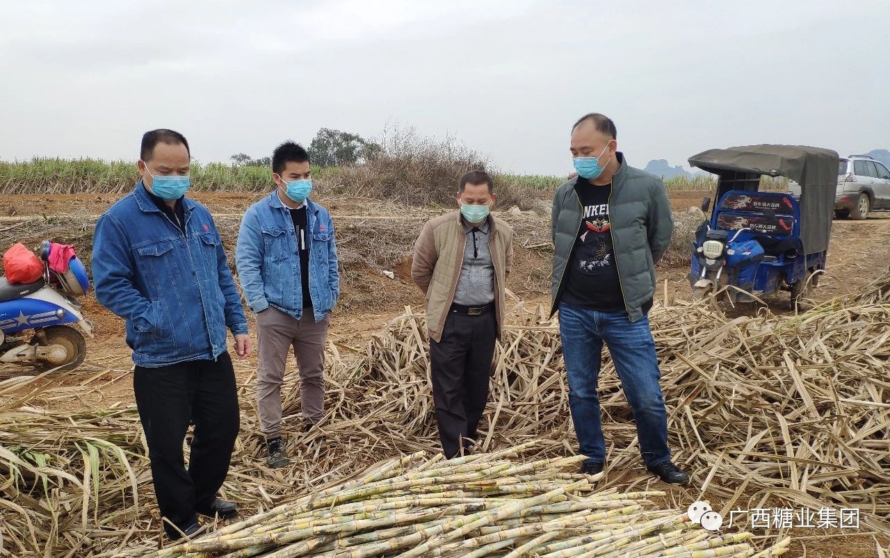 1581823842550918.jpg 8b7abbb393b5340602f1654af5e07681.jpg