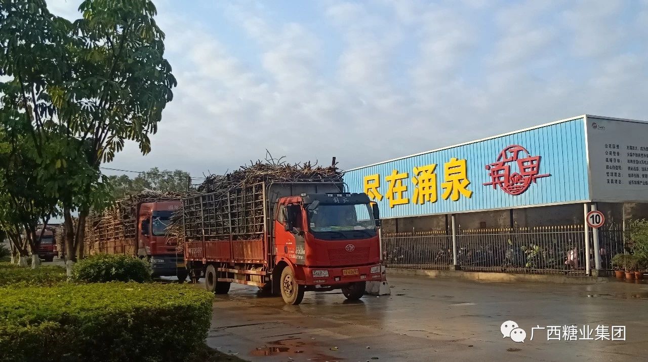 1581824974685929.jpg db521dd8c476d81a5bddaba73e55014f.jpg