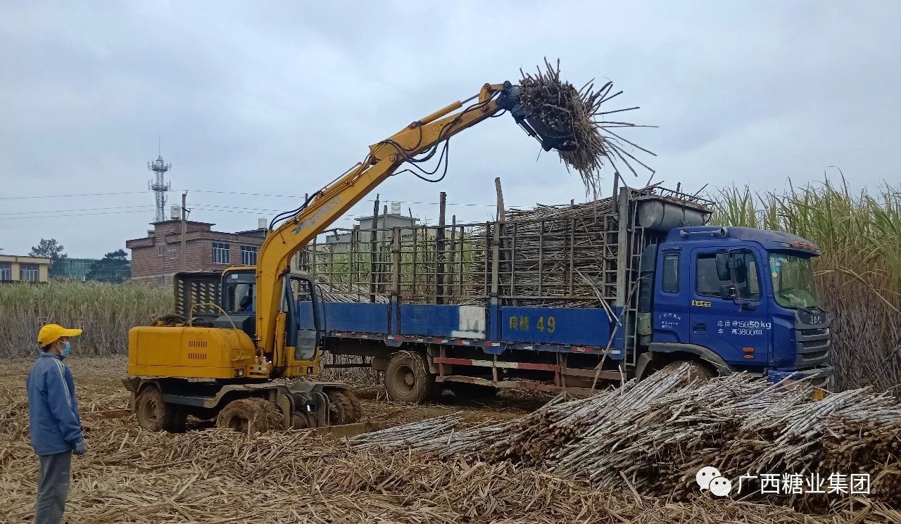 1581825027961678.jpg 1d302f315d1dacfd26a67ab1b9b19203.jpg