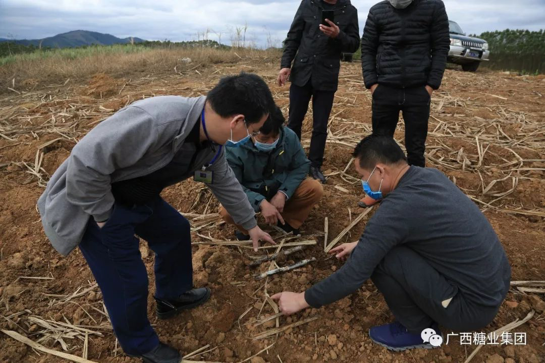 1582015939600110.png image.png