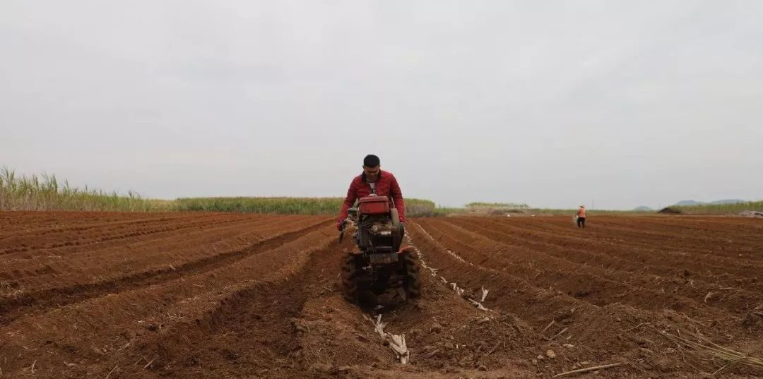 1582016288363749.png image.png