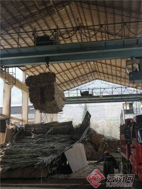 1582105914593600.jpg 00301442533_cfe17e53.jpg