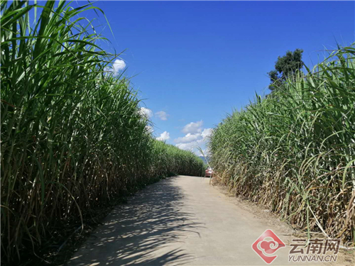 1582105991526485.jpg 00301442534_afba6276.jpg