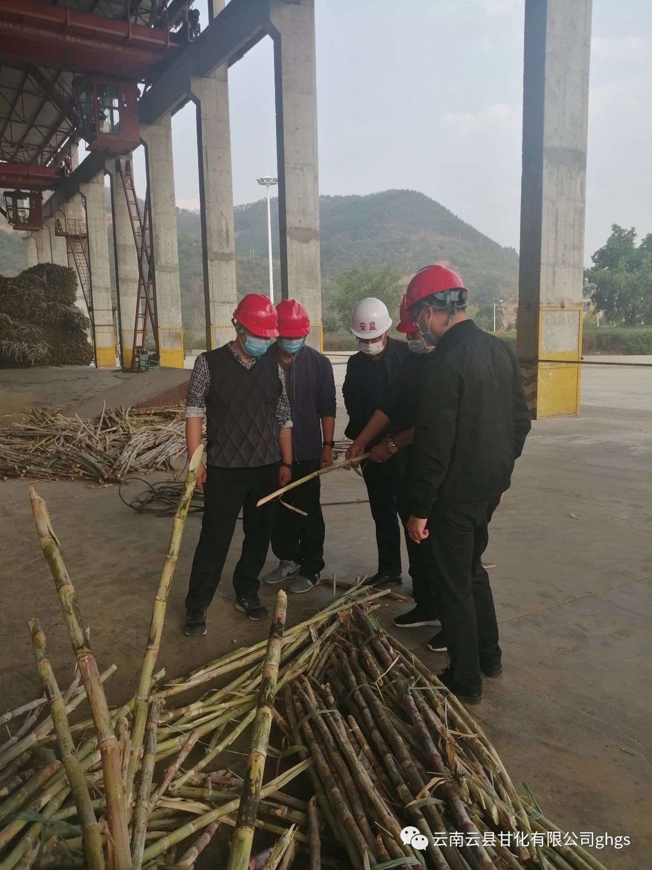 1582200604719438.jpg 7ae03850f1b2e8922a6d03589a6837fc.jpg