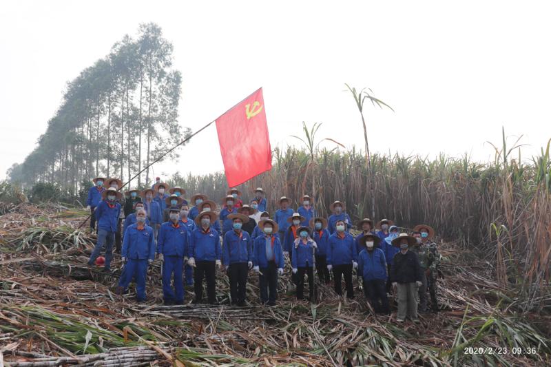 1582455104555097.jpeg WechatIMG74.jpeg