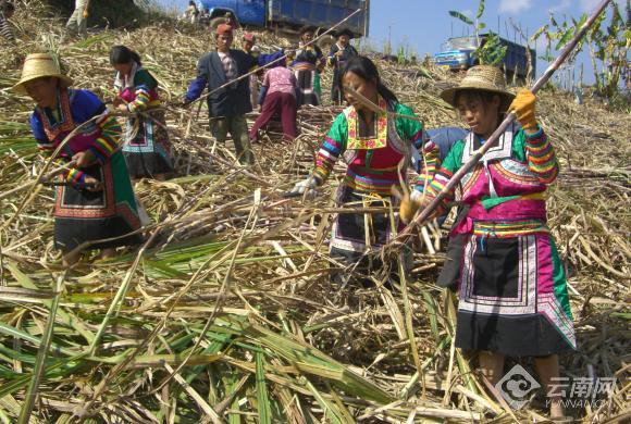 1582541400868971.jpg 00301442494_589f4f70.jpg