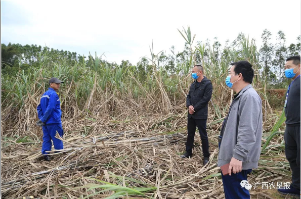 1582631450721139.png 1582510145131754.png