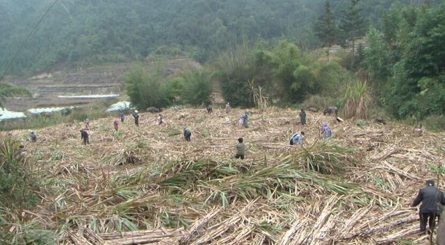 1582692279302226.jpg 30adcbef76094b361ffe32d7caee41df8d109d40.jpg