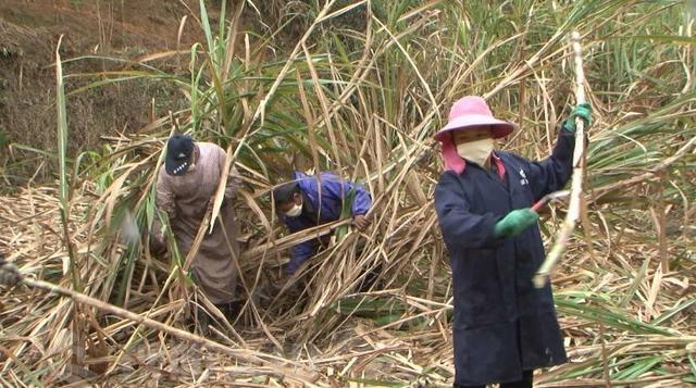 1582692329204487.jpg a044ad345982b2b7534e4b3a598ff6e977099b27.jpg