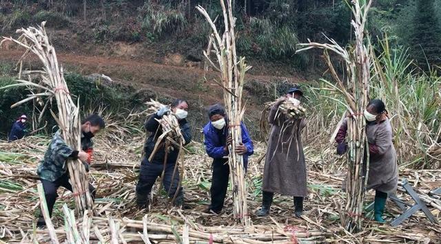 1582692350466861.jpg 4afbfbedab64034fd86a5ba0c3e144370b551d9d.jpg