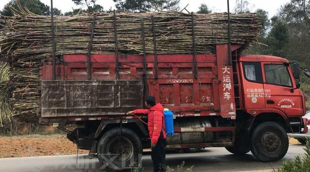 1582692368563797.jpg 6f061d950a7b0208630d683e09fbcfd5552cc8d5.jpg