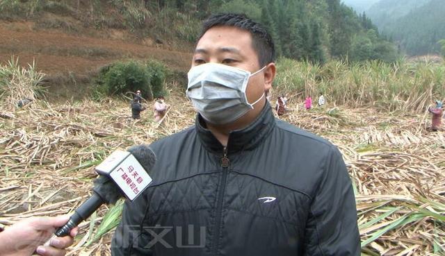 1582692453487851.jpg 060828381f30e924c548534c2b2a53001c95f78c.jpg