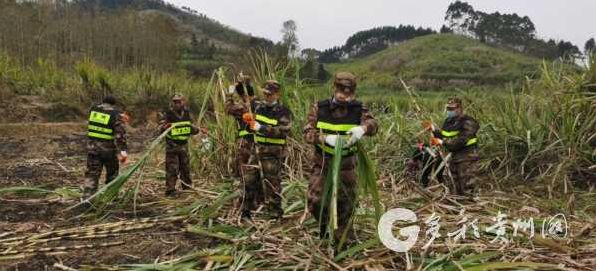 1582700044808195.jpg W020200226442173585578.jpg