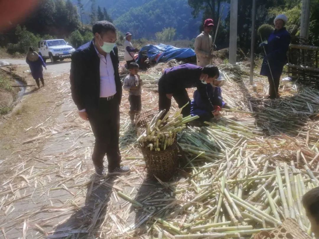 1582773927674514.jpg 2b6b9c99a82463c6cf5c5d28f5433c32.jpg