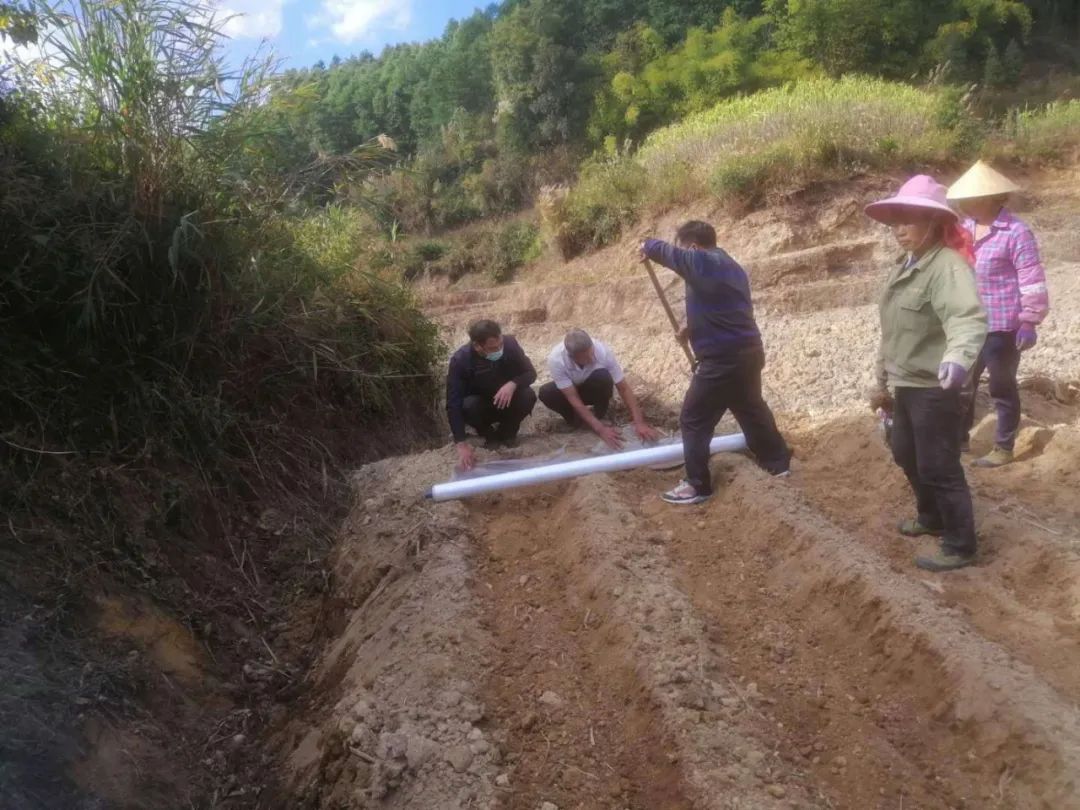 1582773963271478.jpg a673937e04b4abb0fccc8d998b62f03b.jpg