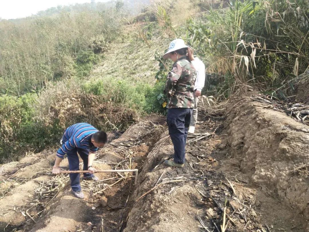 1582854708321997.jpg 6102b950fd98446ad5c8fc6e3343b699.jpg