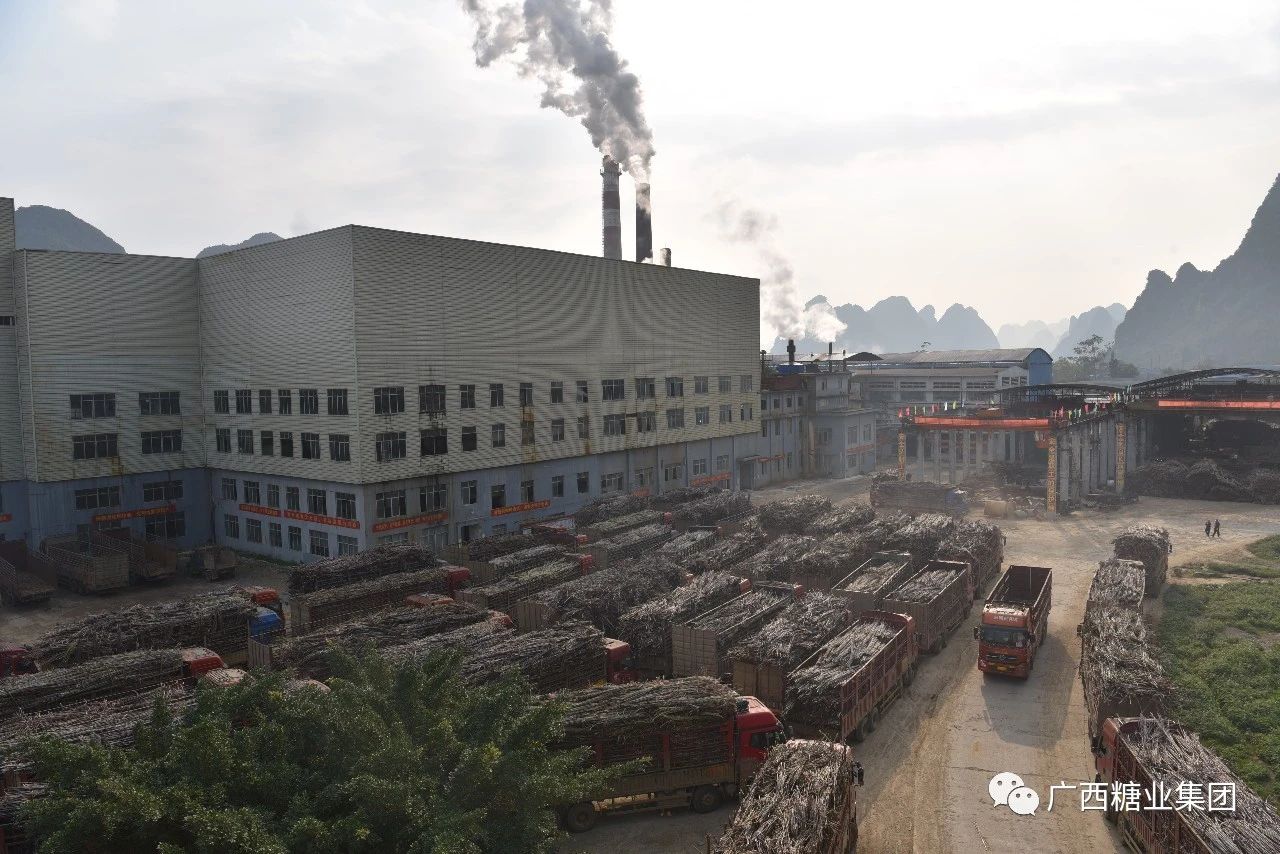 1582897037685134.jpg 8ffa1bd5d1de344a2655beb270819ac7.jpg