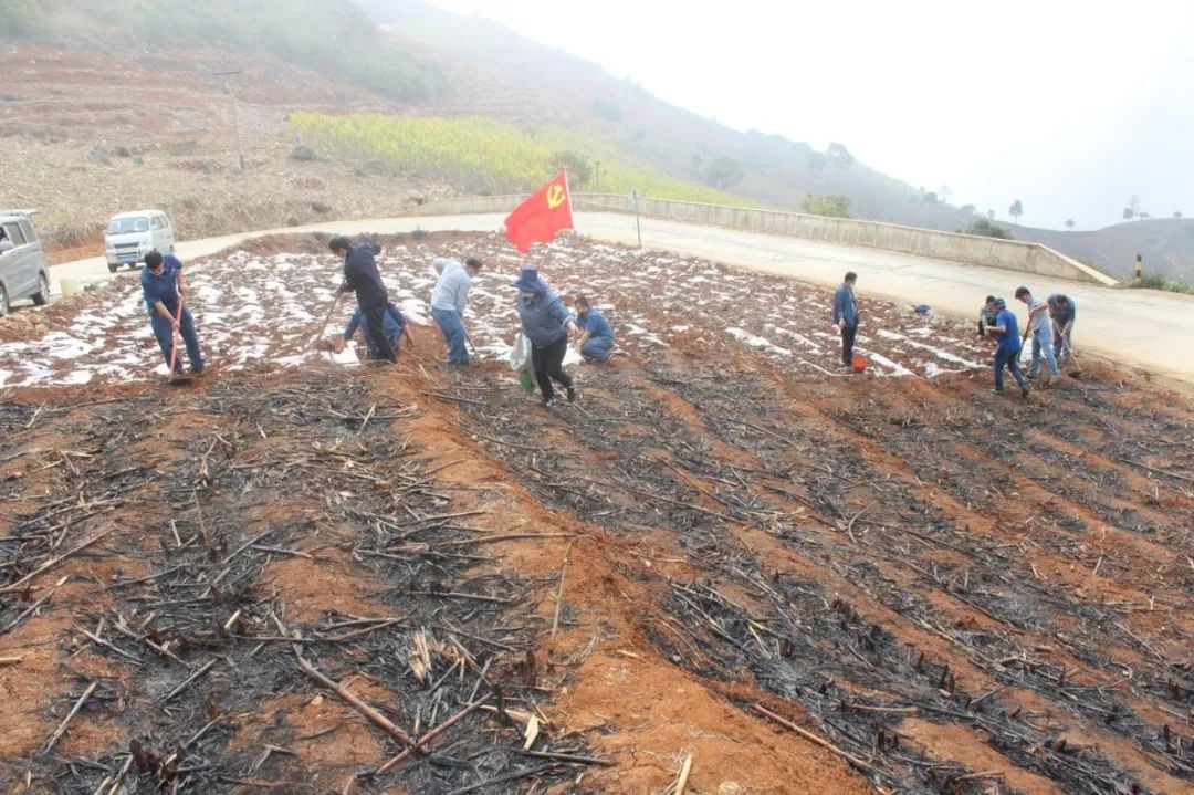 1582956180271456.jpg 14ac90d5fb140e563945e7801b4f77e8.jpg