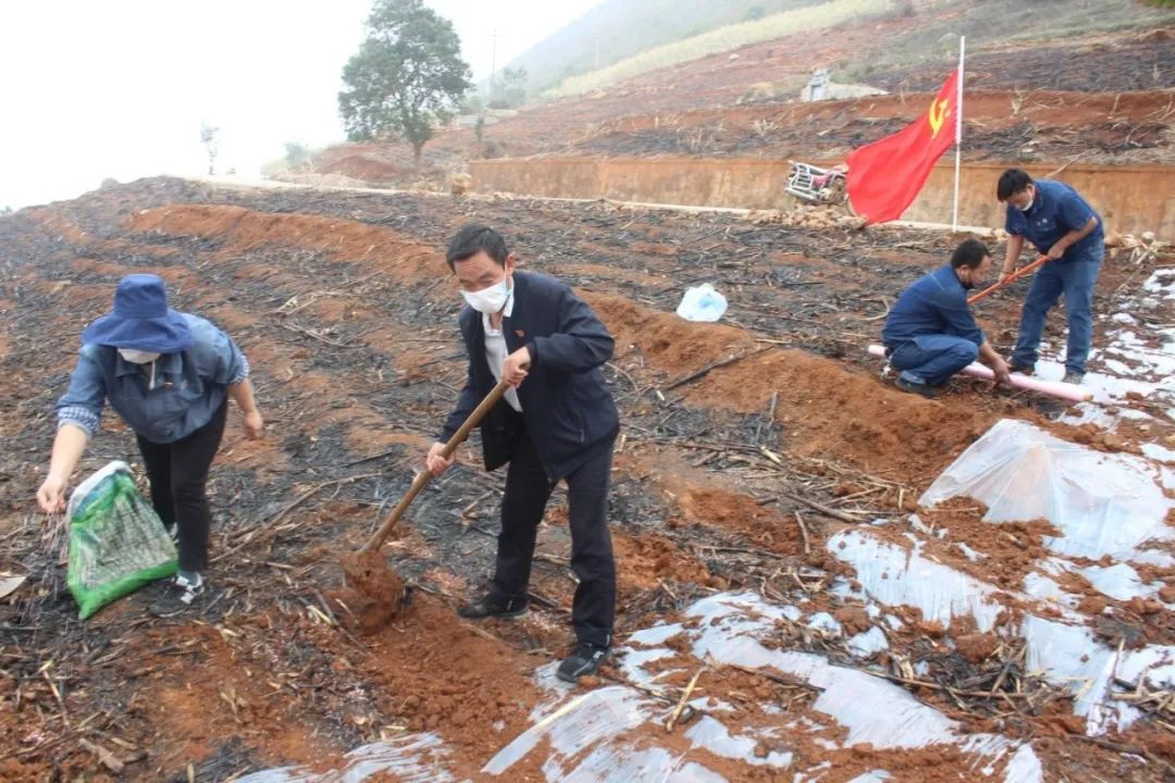 1582956295991751.jpg c0e708caa6dd491fe4e4c9a8441b5e76.jpg