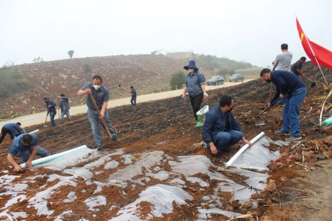 1582956339337167.jpg dadfb83724a2a2d4a04f6eaebdca98a1.jpg