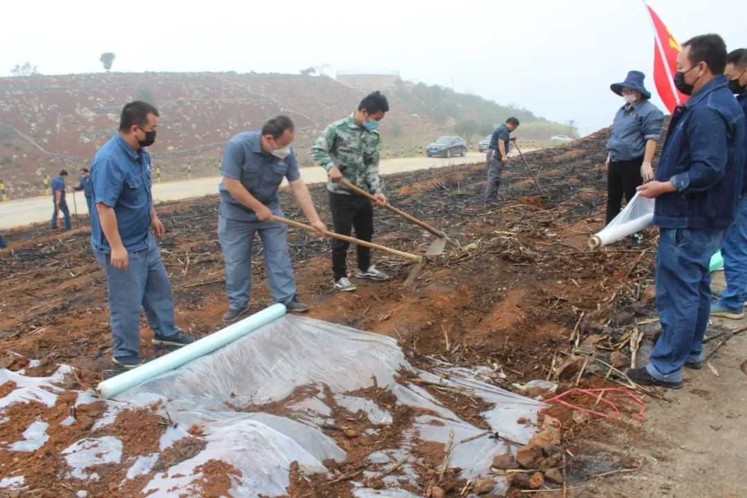 1582956361421965.jpg 04cf3c0bba43bc99814bf6765b98ffd6.jpg