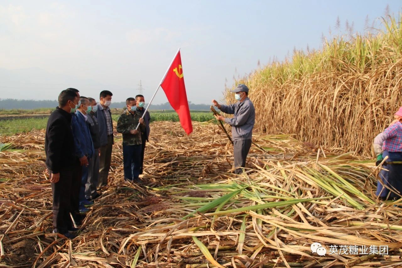 1583640664216859.jpg 043c9094c1c5f6de5e5ffdc2727afa93.jpg