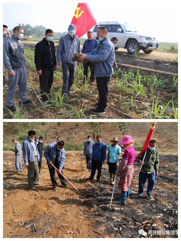 1583640683457276.jpg 25441fbc0b35bede4ecd0fac39686e7c.jpg