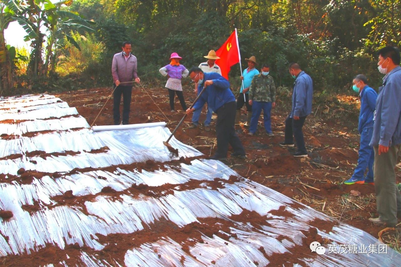 1583640699200692.jpg 2ecc0bd415c49be6cd75332abb03d1bd.jpg