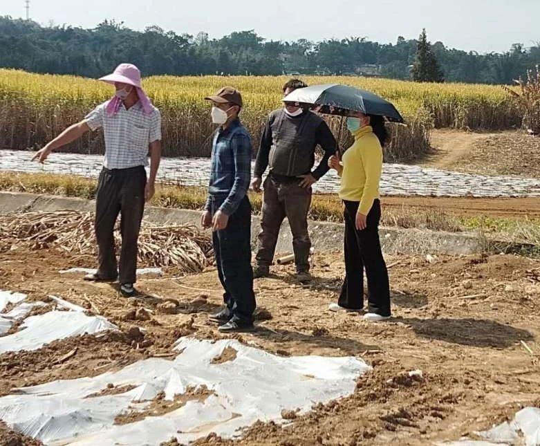 1583640775945222.jpg 7b4f9eb170afc1b7fd71a336d6810077.jpg