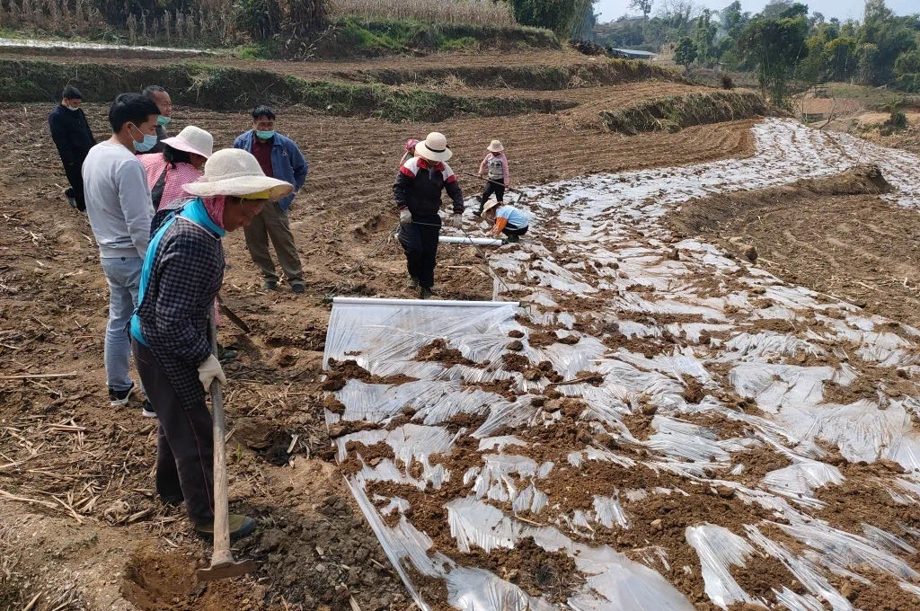 1583721168466285.jpeg WechatIMG4.jpeg