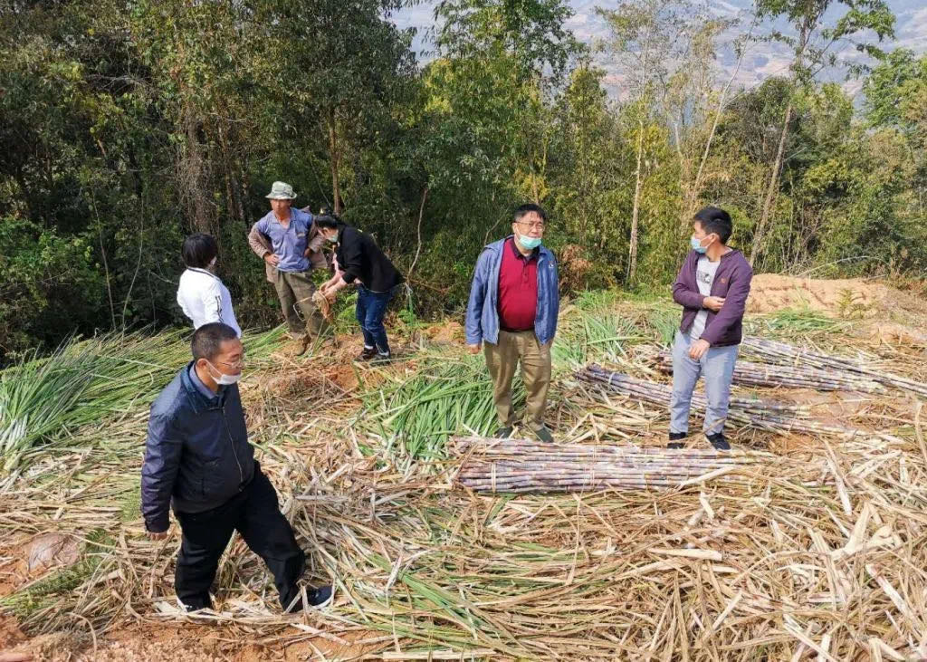 1583721252442777.jpeg WechatIMG6.jpeg