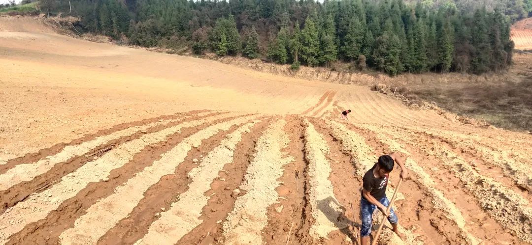 1583888958557157.jpg 789e0897aa22f278b32172d448357b76.jpg