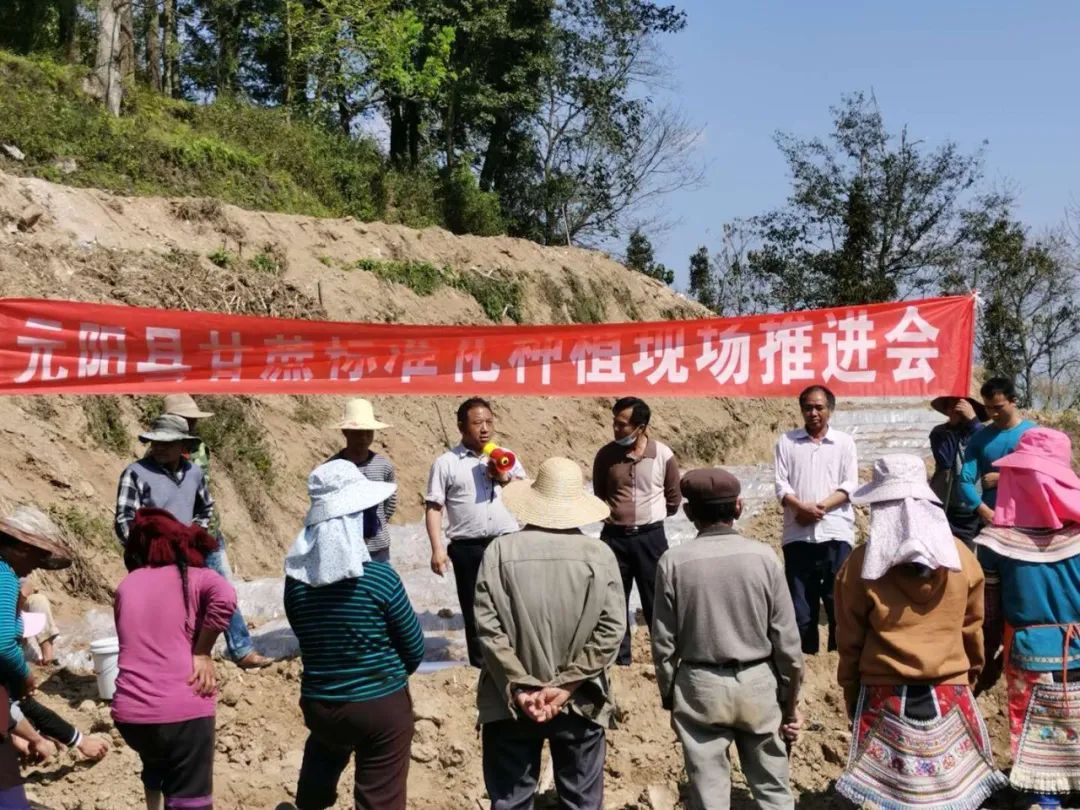 1583889438824649.jpg 94a715fb83a0acf43b1f919c2a8207aa.jpg