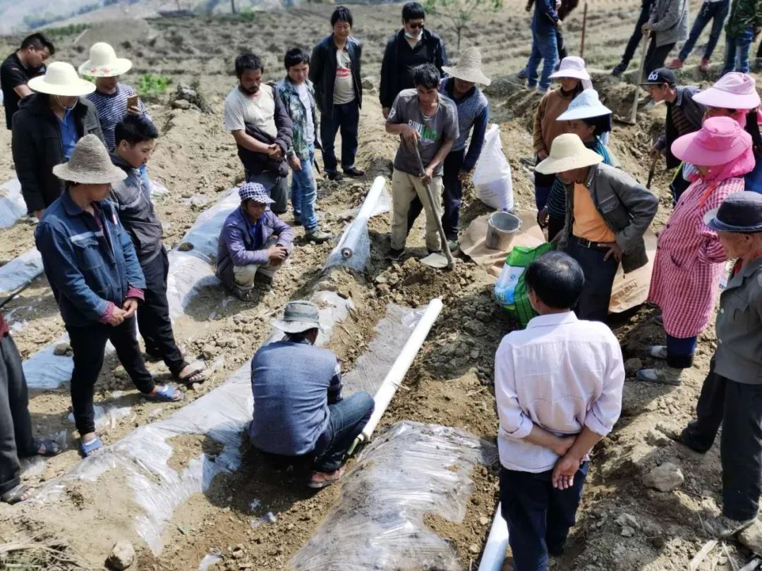 1583889531808446.jpg 5ac9c4cbf2f3f0bdb94b118214cca343.jpg