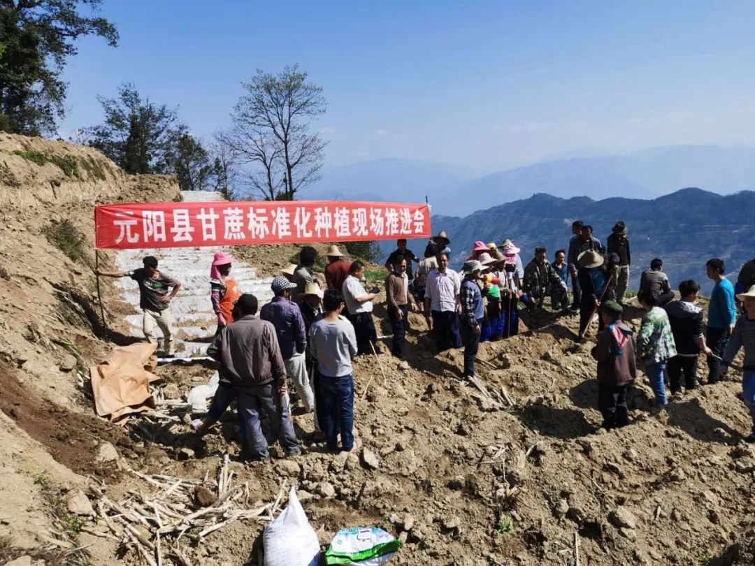 1583889610167885.jpg 3500a1c2b9fd92e071c8885dcee1eb89.jpg