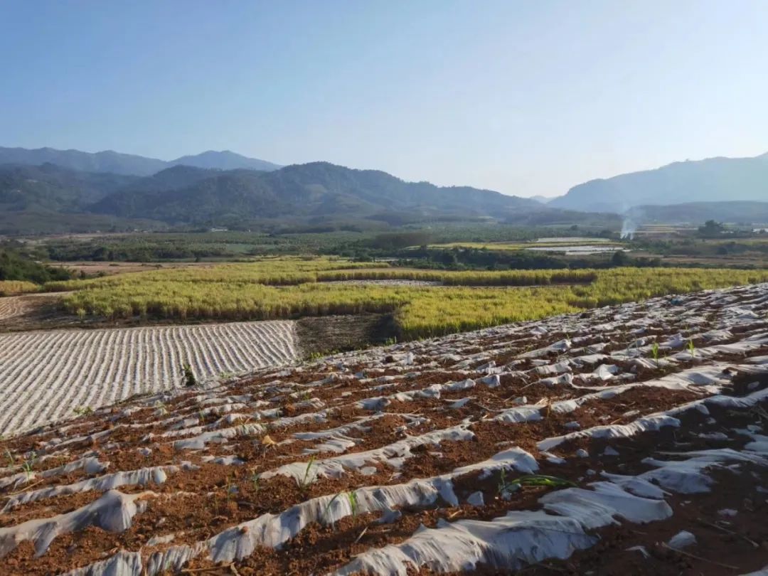 1583977572630885.jpg 640.jpg