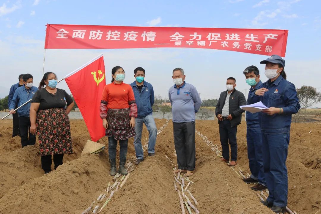 1583977689640271.jpg 1.jpg