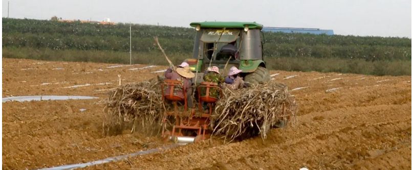 1583978386701139.jpg e6ae9345f79702fbacc2eac5a692cefc.jpg