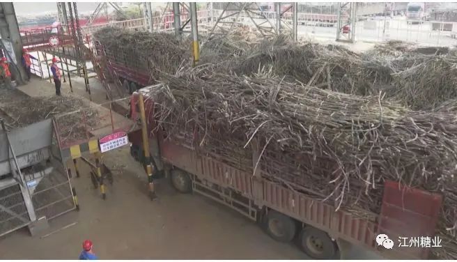 1583978445901267.jpg 50a6cf23847d1c1c548e0df3881c35af.jpg