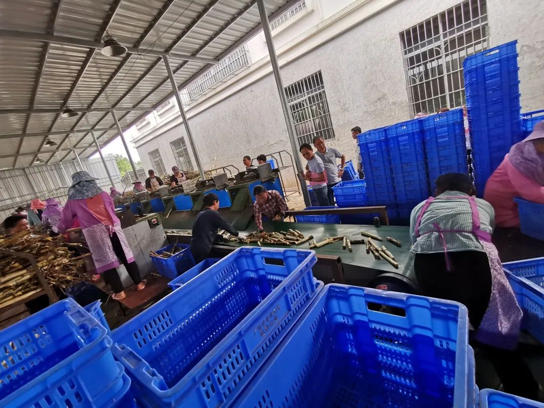 1583978456980748.jpg 742c558fa3014fffca4362d40f9666b9.jpg