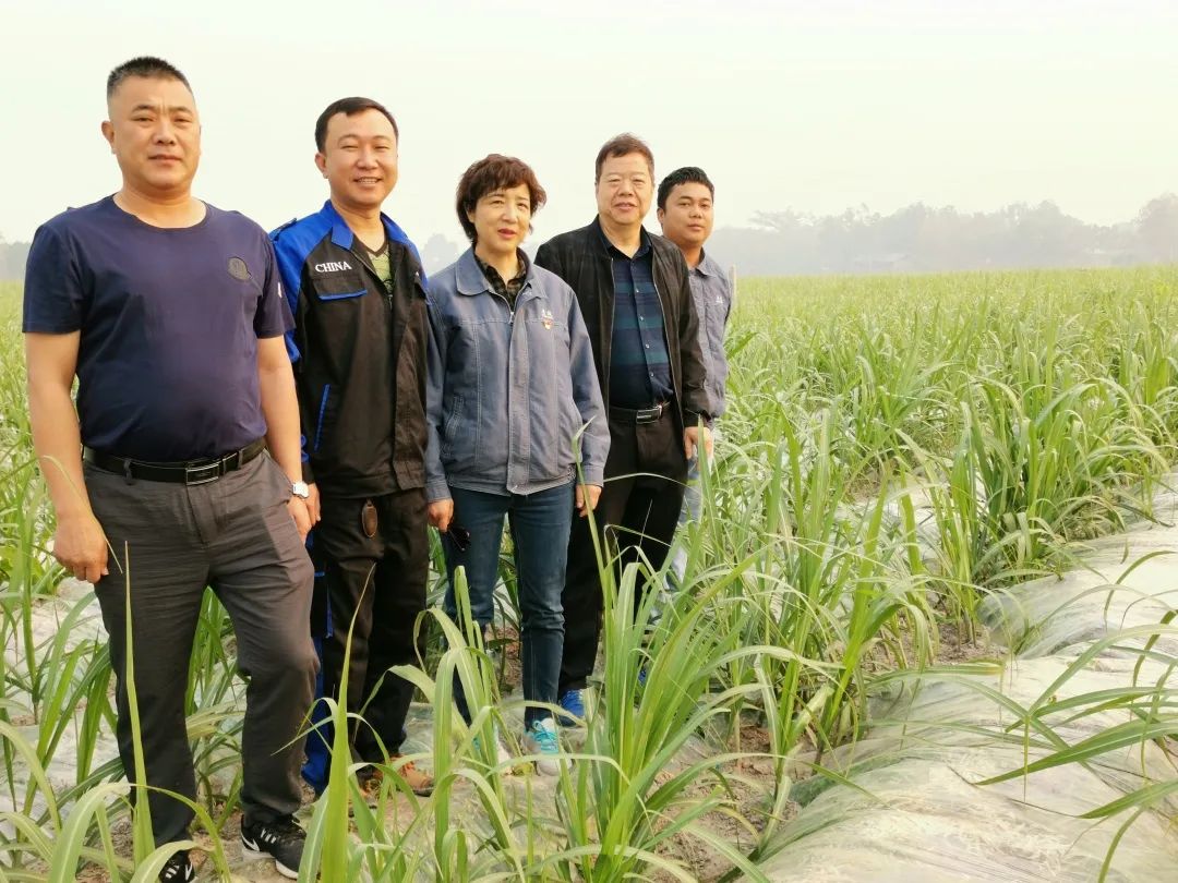 1584055146404129.jpg fdf839475083ee0b9066826bc26f337e.jpg